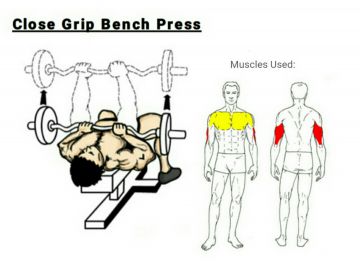 Monday: Chest/Triceps/Abs