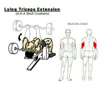 Monday: Chest/Triceps/Abs