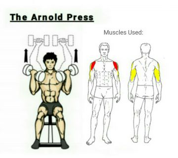 Wednesday: Shoulder/Traps