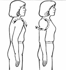 Office Exercises